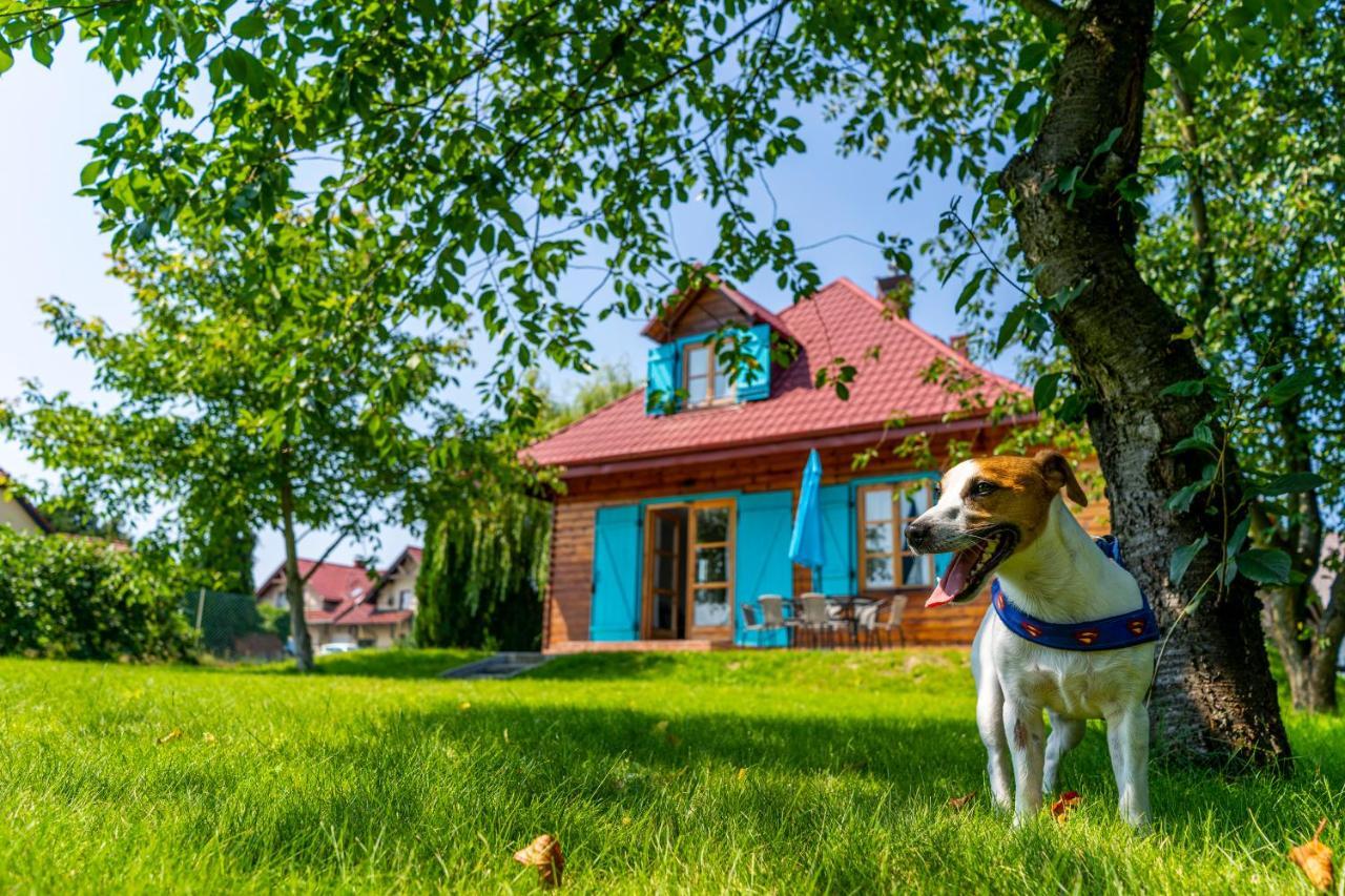 فيلا Bay House بوتسك المظهر الخارجي الصورة